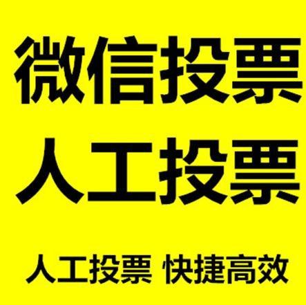 景德镇市投票活动拉票能被查出来吗？如何操作能不被发现？